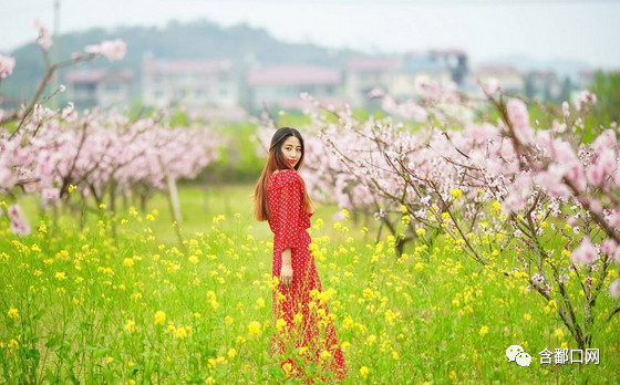 凤凰山桃花园