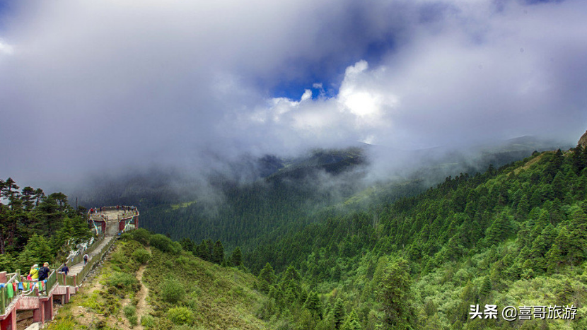 林芝旅游攻略必去的景点,这十个一定不要错过! 林芝旅游攻略必去的景点,这十个一定不要错过!