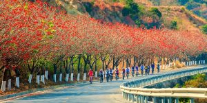 攀枝花旅游必去景点（攀枝花旅游景点大全排名）