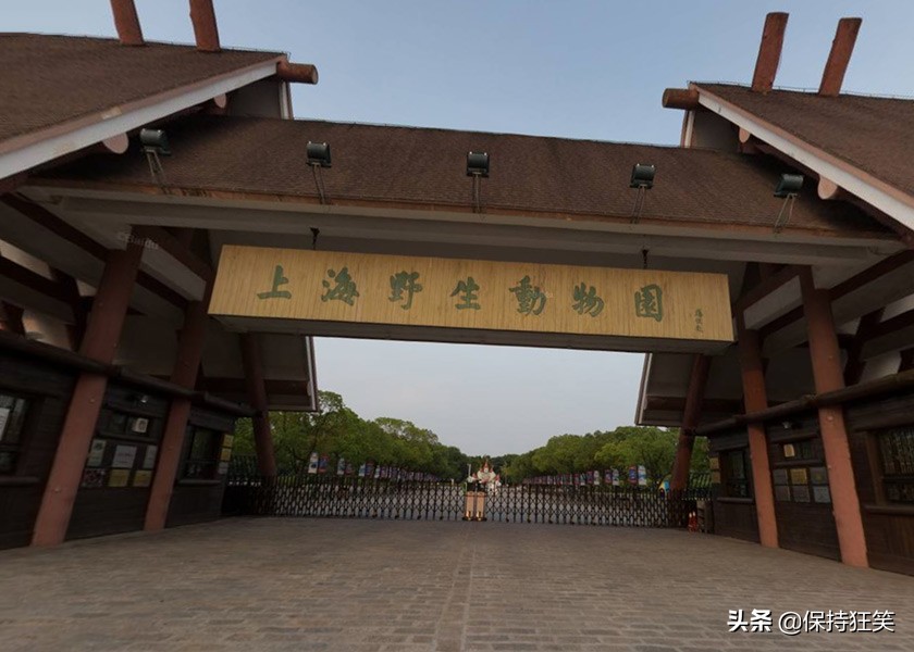 上海旅游必去景点推荐(上海最值得去的10个地方) 上海旅游必去景点推荐(上海最值得去的10个地方)
