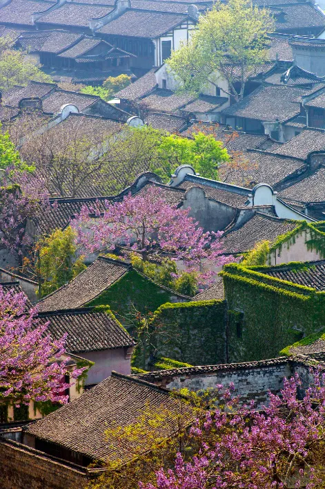 自由行必看!最详细的乌镇旅游攻略及行程路线 自由行必看!最详细的乌镇旅游攻略及行程路线