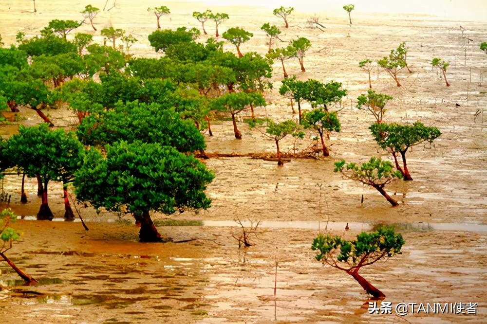 深圳旅游景点大全介绍(深圳旅游必去十大景点) 深圳旅游景点大全介绍(深圳旅游必去十大景点)