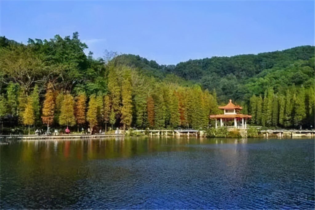 河源旅游景点攻略(河源一日游免费景点适合小孩子) 河源旅游景点攻略(河源一日游免费景点适合小孩子)