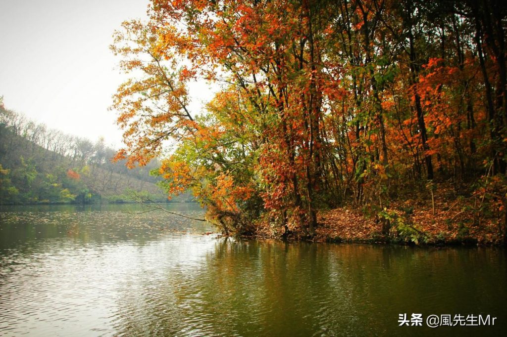 灵龙湖生态文化旅游区 灵龙湖生态文化旅游区