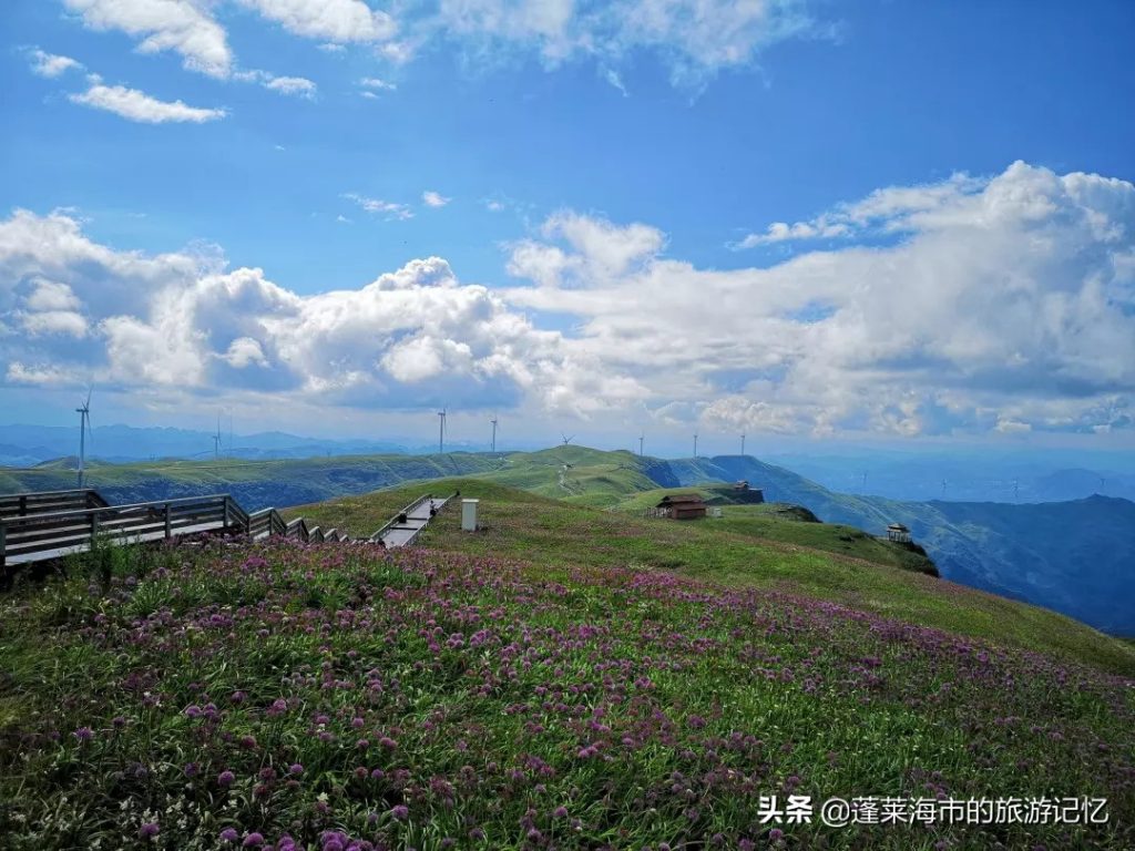 阿西里西韭菜坪