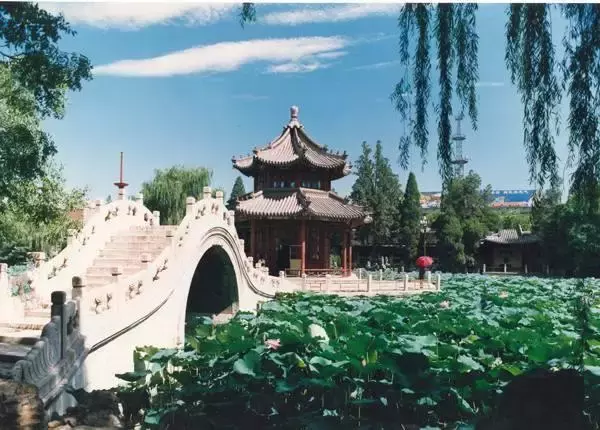 保定旅游景点排行榜前十名（保定旅游必去又好玩的地方）