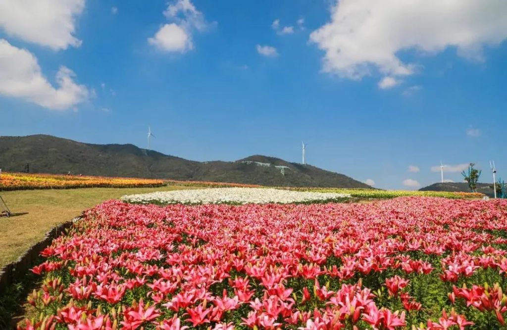 安徽巢湖旅游景点大全介绍（巢湖景点排行榜前十名）