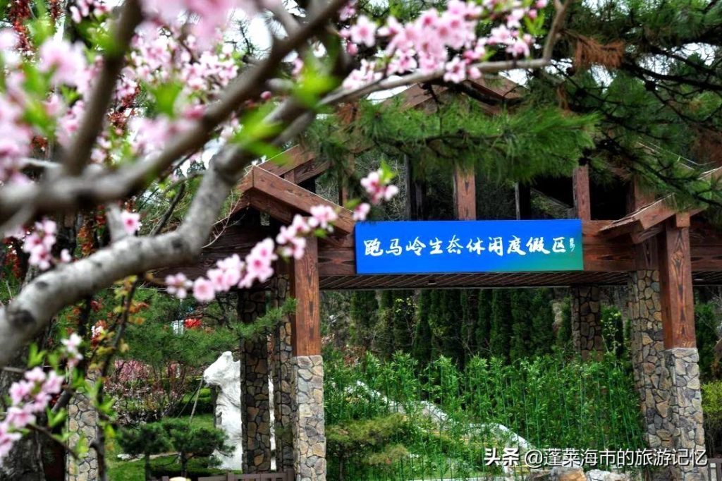 济南旅游攻略必去景点大全（济南旅游景点排名前十）