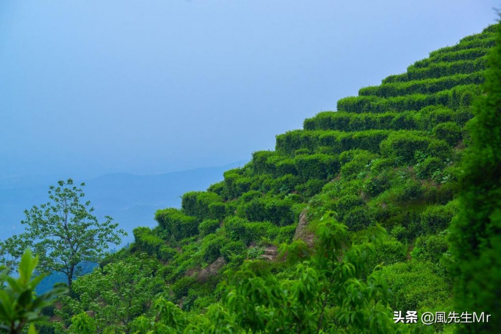 西九华山 西九华山
