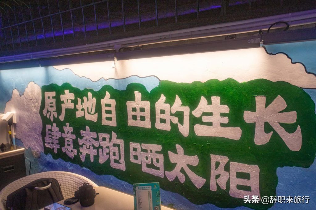 三亚哪里可以吃到正宗的美食(当地人推荐5个最好吃的地方) 三亚哪里可以吃到正宗的美食(当地人推荐5个最好吃的地方)