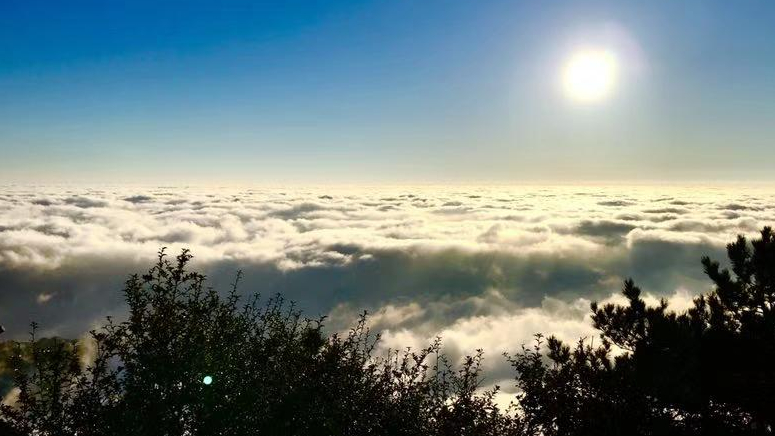 岳阳旅游景点攻略(岳阳旅游必去十大景点) 岳阳旅游景点攻略(岳阳旅游必去十大景点)