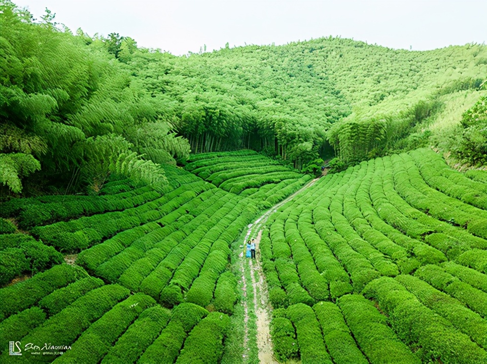 湖州旅游景点攻略(湖州旅游必去十大景点) 湖州旅游景点攻略(湖州旅游必去十大景点)