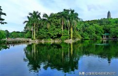 南宁旅游必去十大景点排名（南宁旅游攻略必玩的景点）
