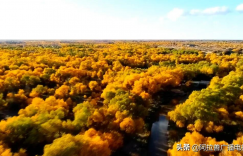 阿拉善旅游攻略（阿拉善必去的五大景点）