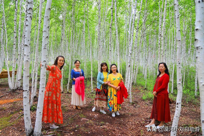 漠河旅游自由行攻略(必去景点+线路+美食+最佳时间) 漠河旅游自由行攻略(必去景点+线路+美食+最佳时间)