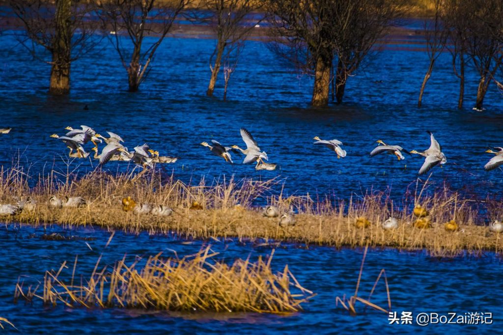 昭通旅游景点大全排名（昭通旅游十大必去景点）