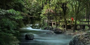 义乌旅游景点大全（义乌一日游必去的景点）