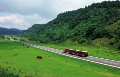 重庆武隆旅游景点大全最新（门票、图片、攻略介绍）