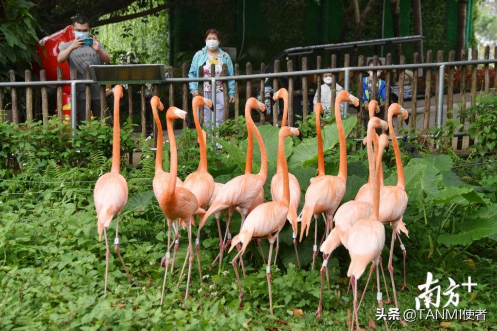 深圳旅游景点大全介绍(深圳旅游必去十大景点) 深圳旅游景点大全介绍(深圳旅游必去十大景点)