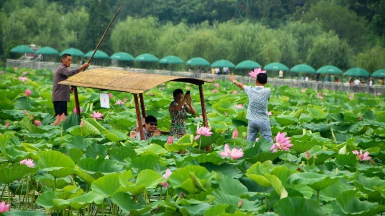 岳阳旅游景点攻略(岳阳旅游必去十大景点) 岳阳旅游景点攻略(岳阳旅游必去十大景点)