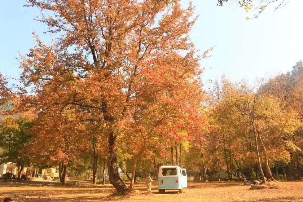 韶关旅游必去十大景点（韶关旅游景点大全排名）