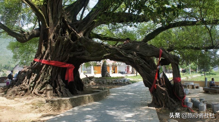 广西古镇旅游景点大全排名,最美十大古镇全在这里! 广西古镇旅游景点大全排名,最美十大古镇全在这里!