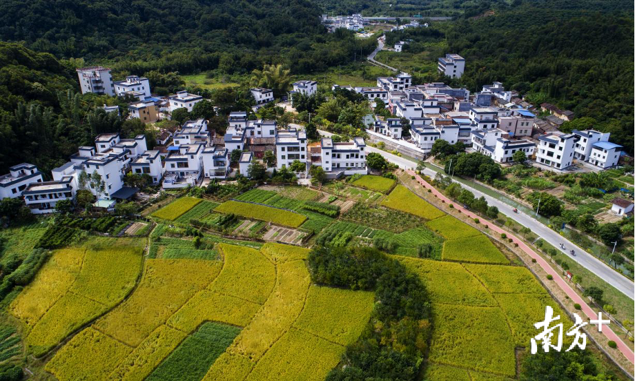 从化旅游必去十大景点（从化旅游景点大全排名）