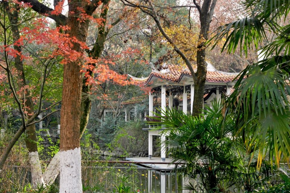 芜湖景点排行榜前十名（安徽芜湖旅游必去十大景点）