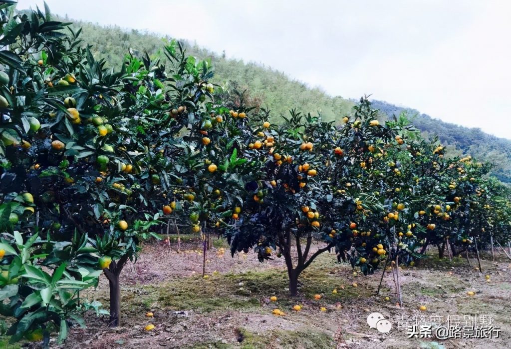 象山旅游必去十大景点（象山旅游景点大全自驾车旅游）