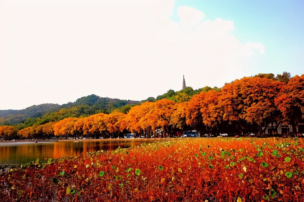 杭州旅游景点有哪些景点（杭州旅游景点大全）