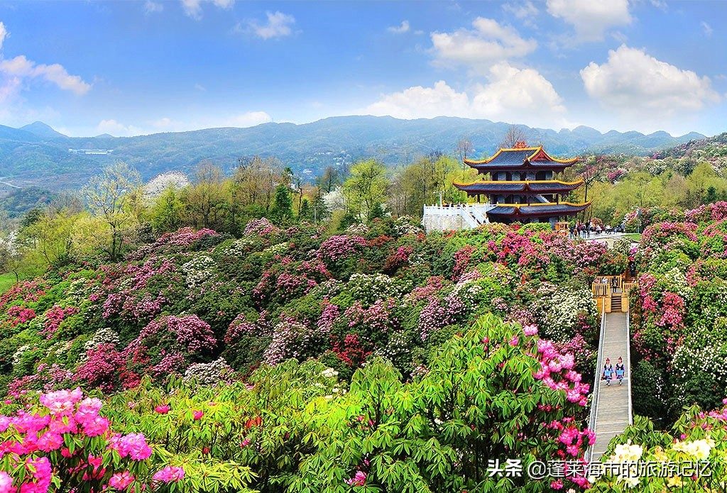 百里杜鹃风景名胜区