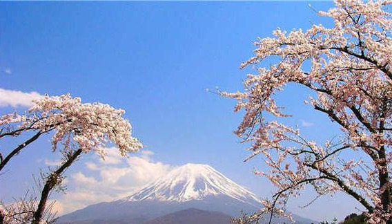 日本旅游必去十大景点（日本旅游著名景点介绍）