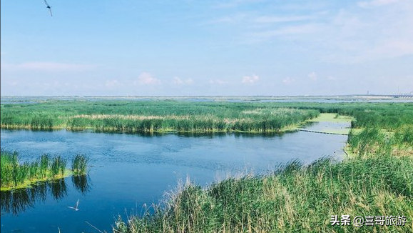 绥化旅游景点大全排名前十（绥化景点哪里比较好玩）