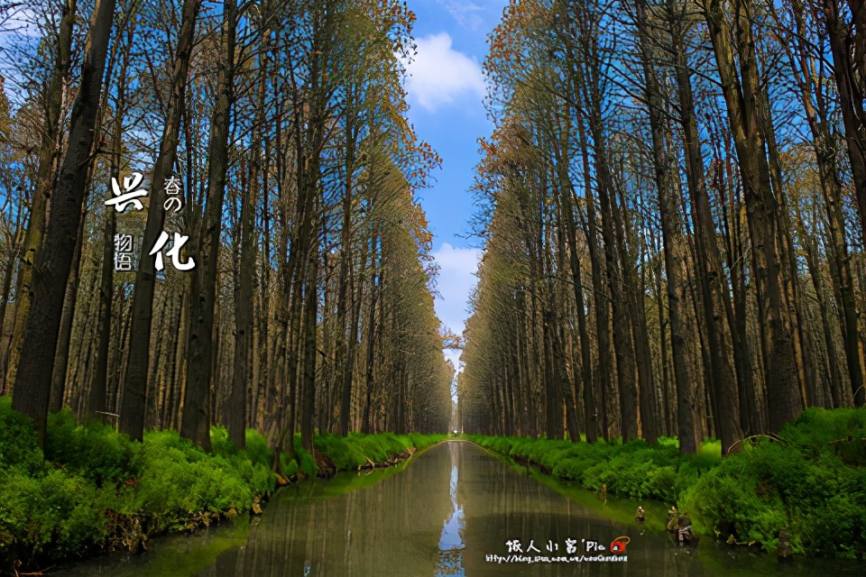 泰州旅游必去十大景点(泰州旅游景点攻略排名前十) 泰州旅游必去十大景点(泰州旅游景点攻略排名前十)