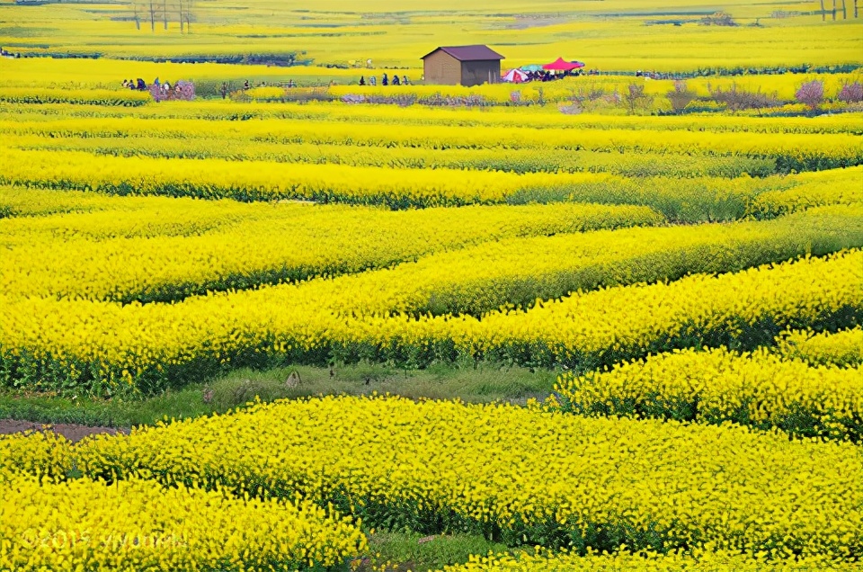 泰州旅游必去十大景点(泰州旅游景点攻略排名前十) 泰州旅游必去十大景点(泰州旅游景点攻略排名前十)