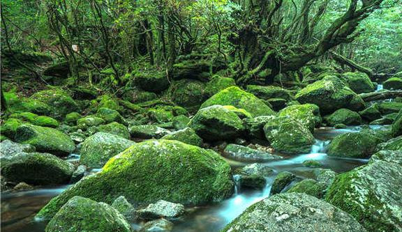 日本旅游必去十大景点（日本旅游著名景点介绍）