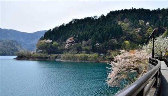 日本旅游必去十大景点（日本旅游著名景点介绍）