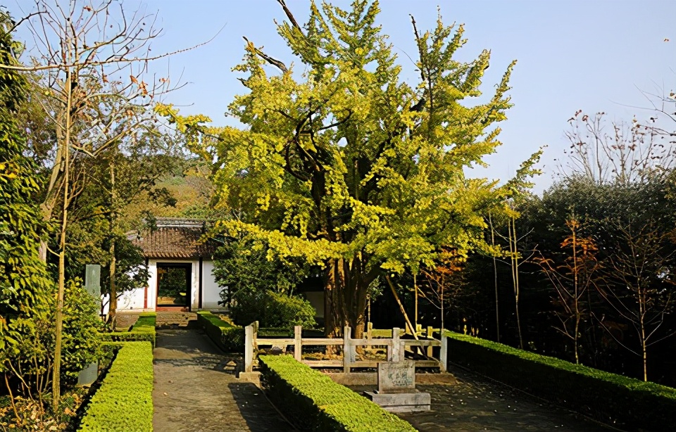 莆田旅游必去十大景点(福建莆田旅游景点推荐) 莆田旅游必去十大景点(福建莆田旅游景点推荐)