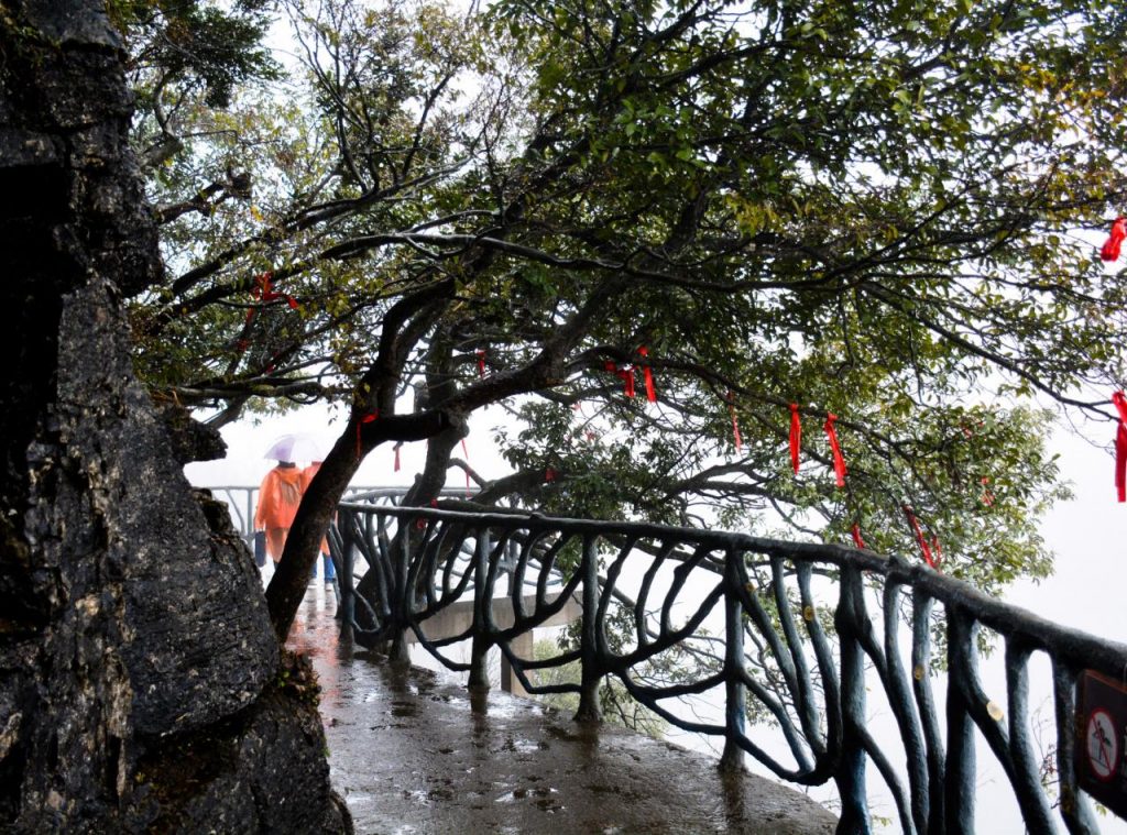 张家界旅游攻略自由行三天(张家界旅游景点全景图) 张家界旅游攻略自由行三天(张家界旅游景点全景图)
