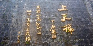 张家界旅游攻略自由行三天（张家界旅游景点全景图）