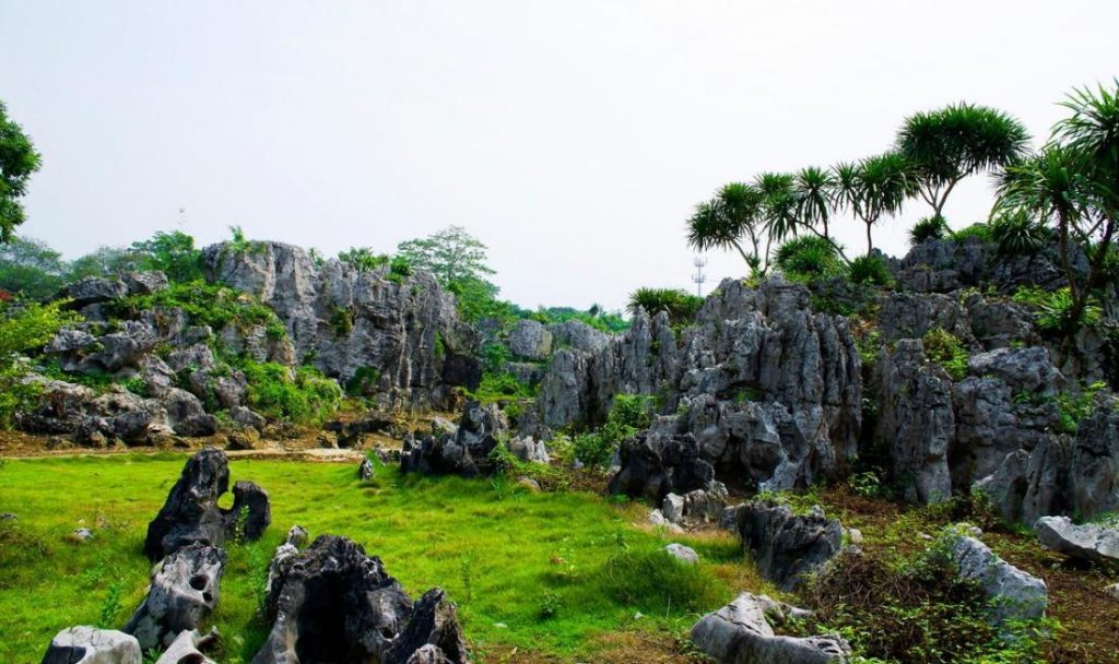崇左旅游必去十大景点(崇左旅游攻略必玩的景点) 崇左旅游必去十大景点(崇左旅游攻略必玩的景点)