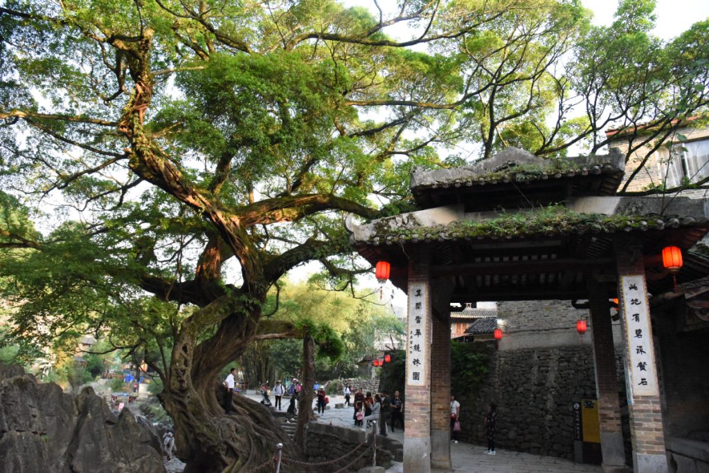 广西贺州有什么好玩的地方旅游景点推荐? 广西贺州有什么好玩的地方旅游景点推荐?
