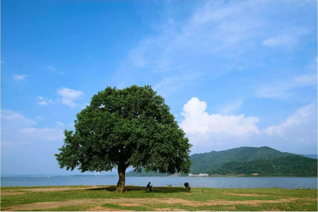 广西贺州有什么好玩的地方旅游景点推荐? 广西贺州有什么好玩的地方旅游景点推荐?