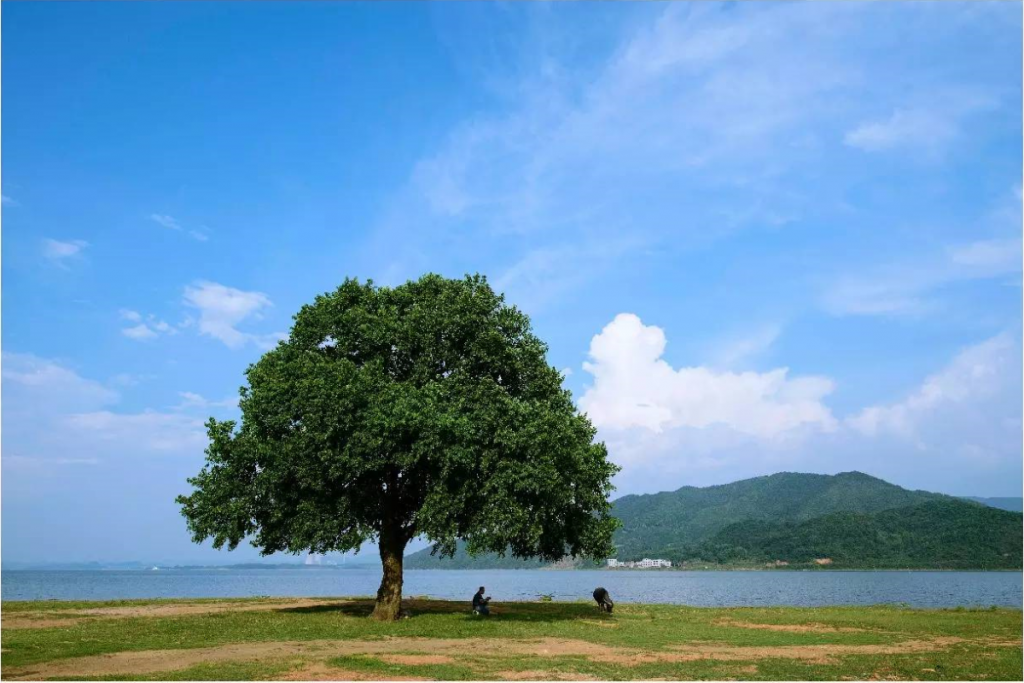 广西贺州有什么好玩的地方旅游景点推荐？