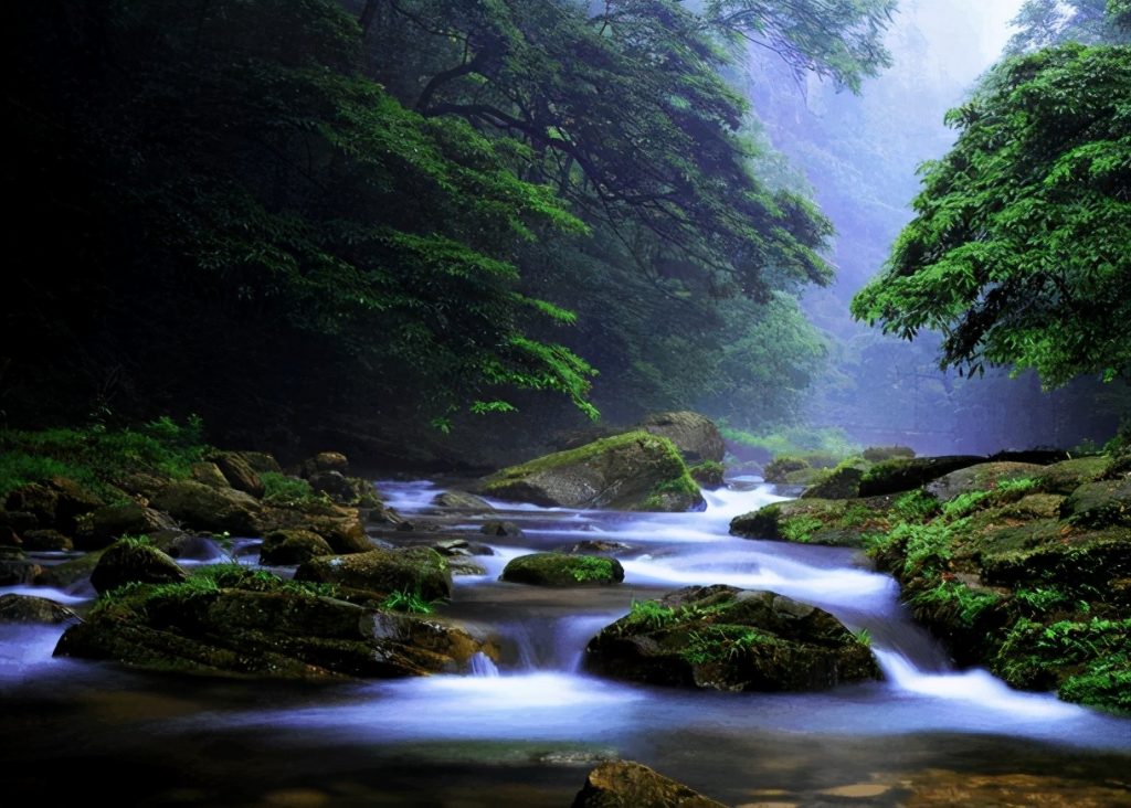 张家界旅游景点有哪些?张家界十大景点排名! 张家界旅游景点有哪些?张家界十大景点排名!