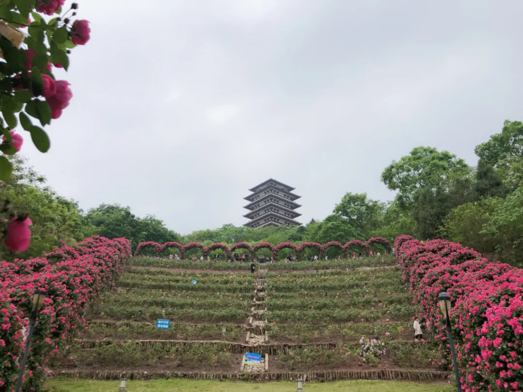 资阳旅游十大必去景点(资阳旅游景点推荐) 资阳旅游十大必去景点(资阳旅游景点推荐)