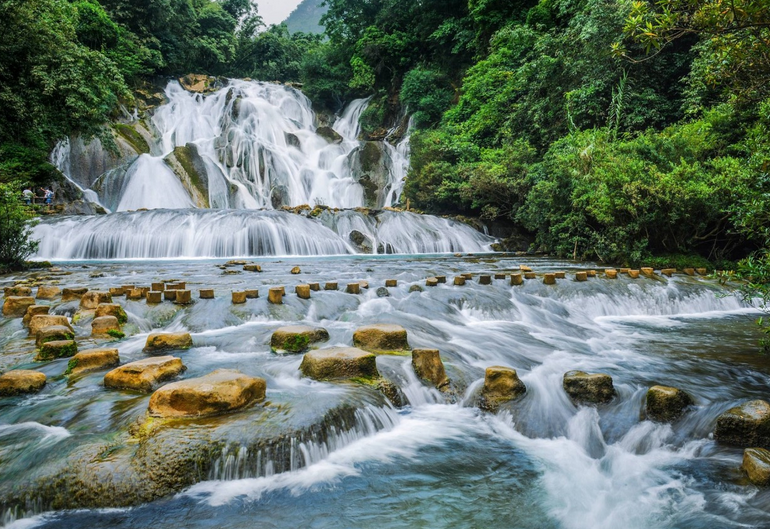 平塘甲茶风景图片