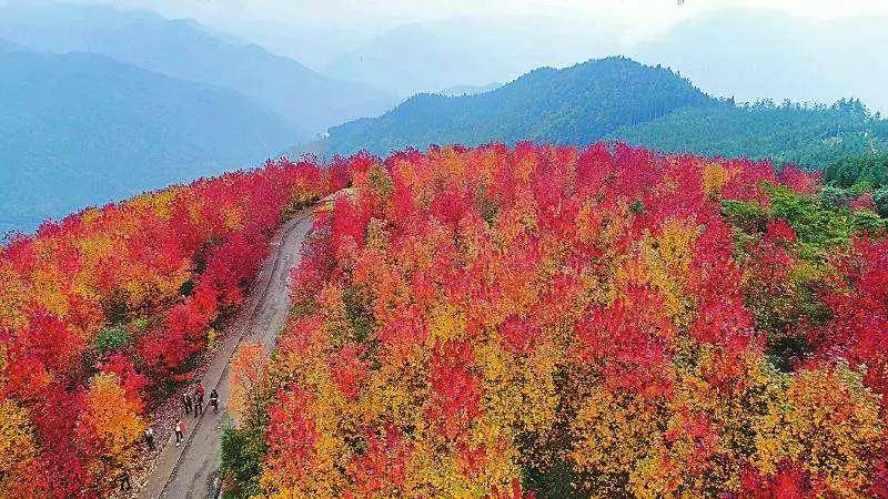 德阳旅游十大必去景点(德阳一日游哪里好玩) 德阳旅游十大必去景点(德阳一日游哪里好玩)