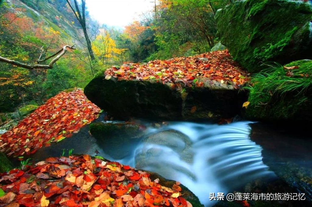 巴中有什么好玩的地方?巴中旅游景点推荐! 巴中有什么好玩的地方?巴中旅游景点推荐!