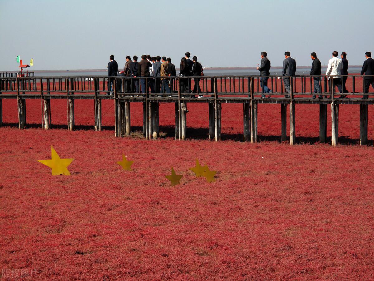 红海滩风景区